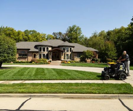 Shades of Green Lawn and Landscape