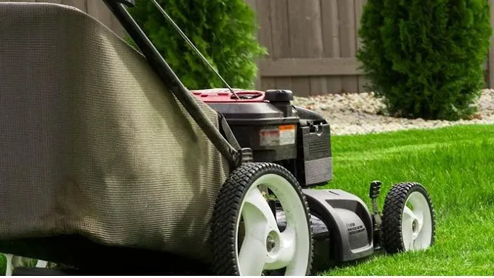 Anderson & Wright Landscaping Picture 3