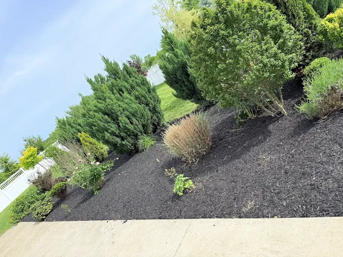Alvarez Lawn Maintenance & Snow removal Picture 10