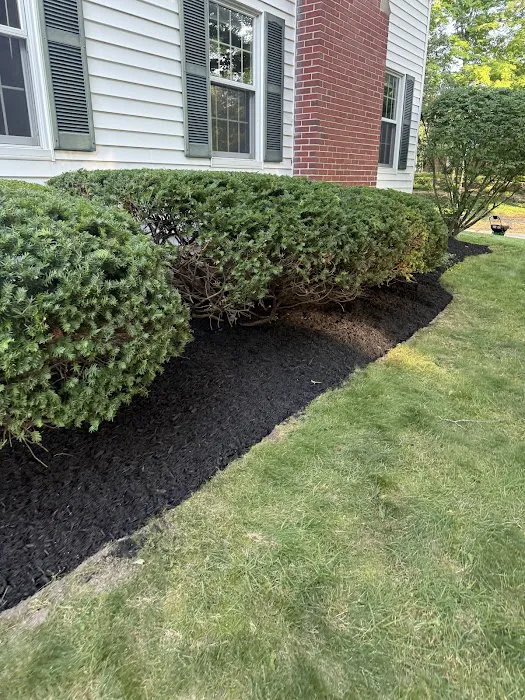 Alvarez Lawn Maintenance & Snow removal Picture 2