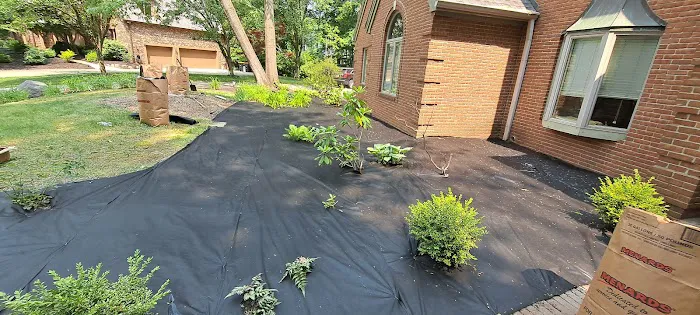VALENCIA s LANDSCAPING & LAWN CARE L.L.C Picture 9