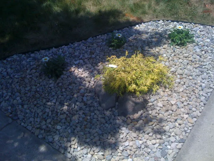 By the Yard, LLC Picture 9