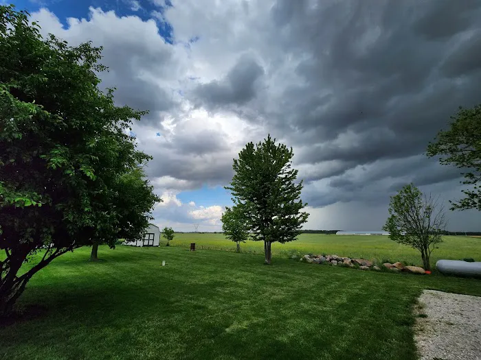 TruGreen Lawn Care Picture 8