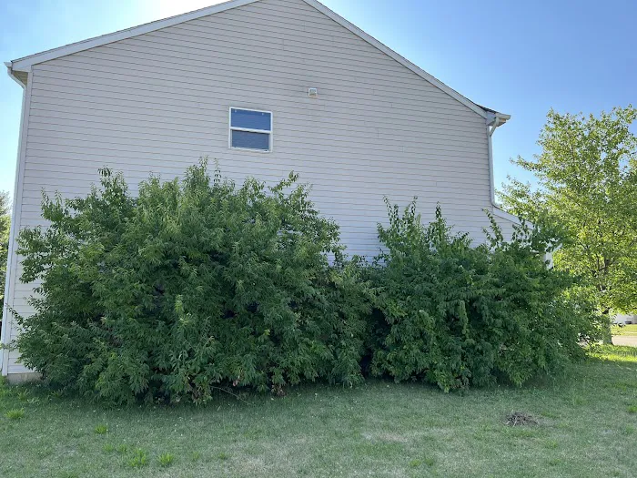 Summit Lawn Care Services Picture 5