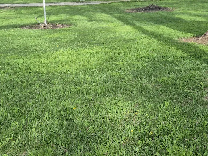 Weed Man Lawn Care Picture 9