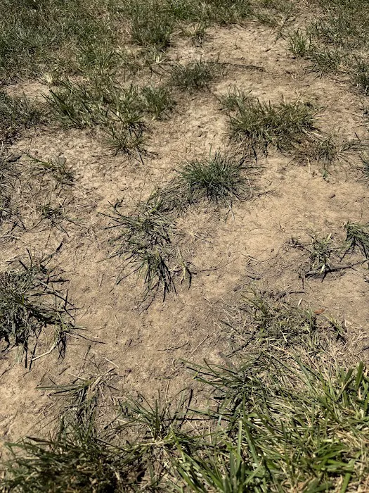 Naturescape Lawn and Landscape Care Picture 5