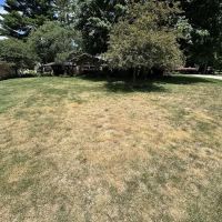 Naturescape Lawn and Landscape Care ico