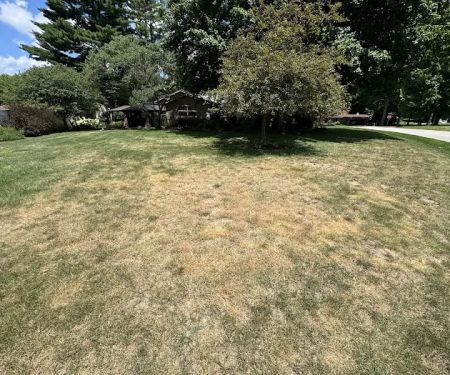 Naturescape Lawn and Landscape Care