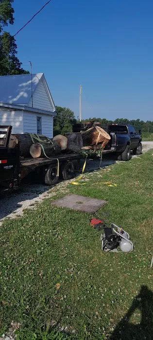 Wassmer's Property Maintenance LLC - tractor work, tree removal, gravel/mulch/dirt delivery,garden tilling. Picture 4