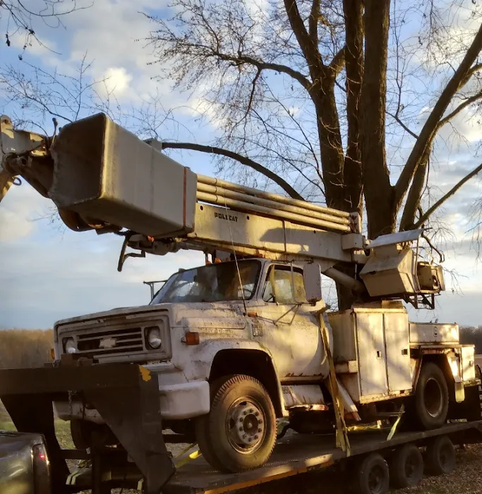 Wassmer's Property Maintenance LLC - tractor work, tree removal, gravel/mulch/dirt delivery,garden tilling. Picture 10