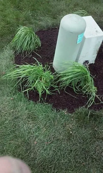 Mascari Lawn & Landscape Picture 5