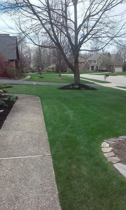 Mascari Lawn & Landscape Picture 8