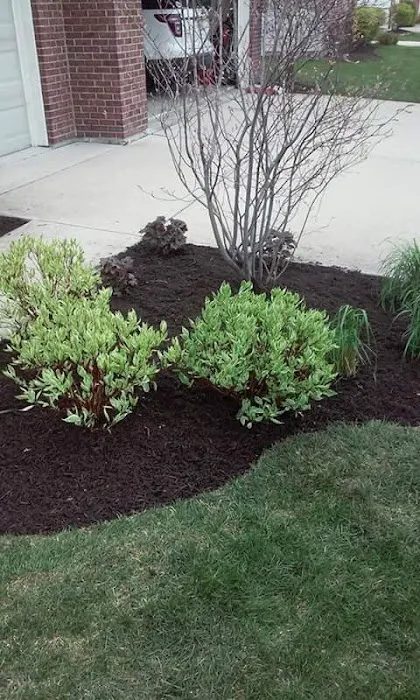 Mascari Lawn & Landscape Picture 2