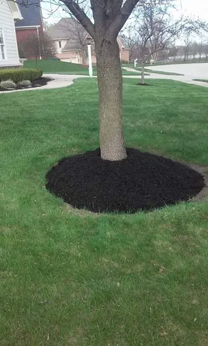 Mascari Lawn & Landscape Picture 4