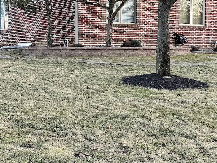 Clouse Landscaping LLC Picture 7