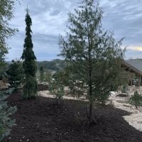 Best Lafayette Lawn Care | Landscape Design, Snow Removal, Sprinkler Irrigation & Turf Care ico