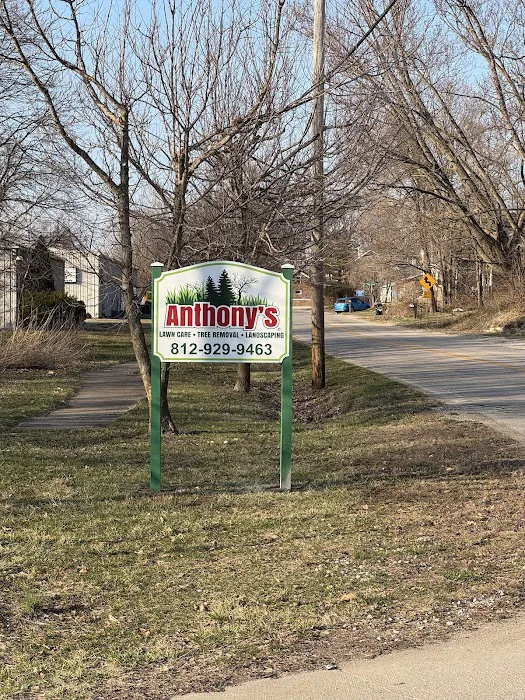 Anthony's Lawn Care and Landscaping Picture 3