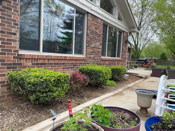 Chew's Lawn Restoration Picture 1