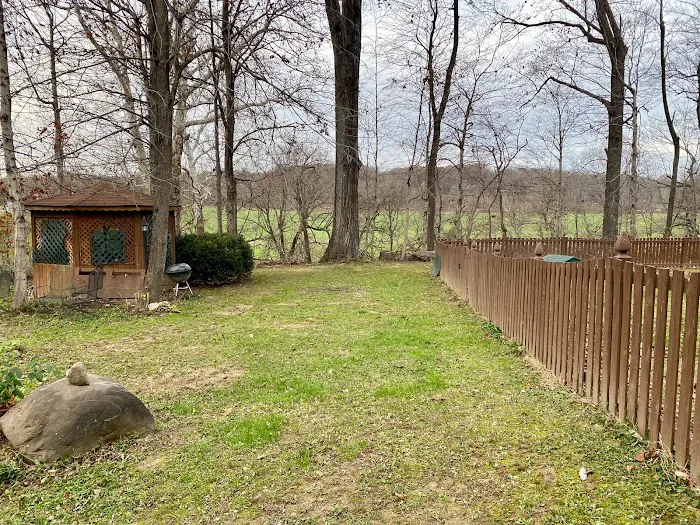 Chew's Lawn Restoration Picture 4