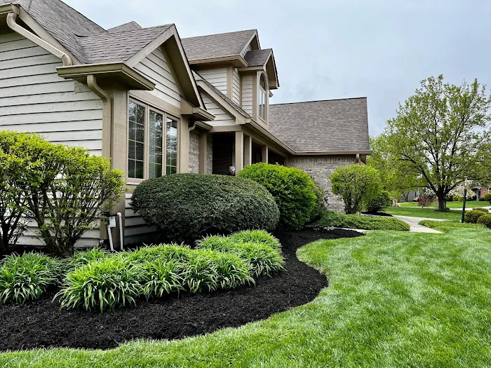 Chew's Lawn Restoration Picture 3