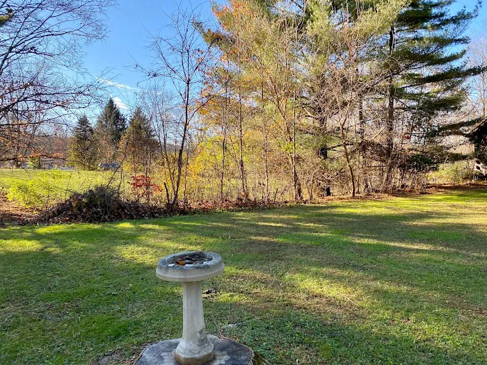Chew's Lawn Restoration Picture 7