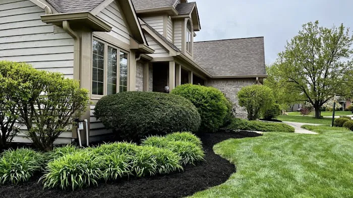 Chew's Lawn Restoration Picture 6