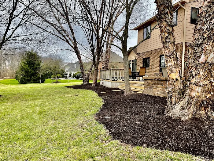 Chew's Lawn Restoration Picture 10