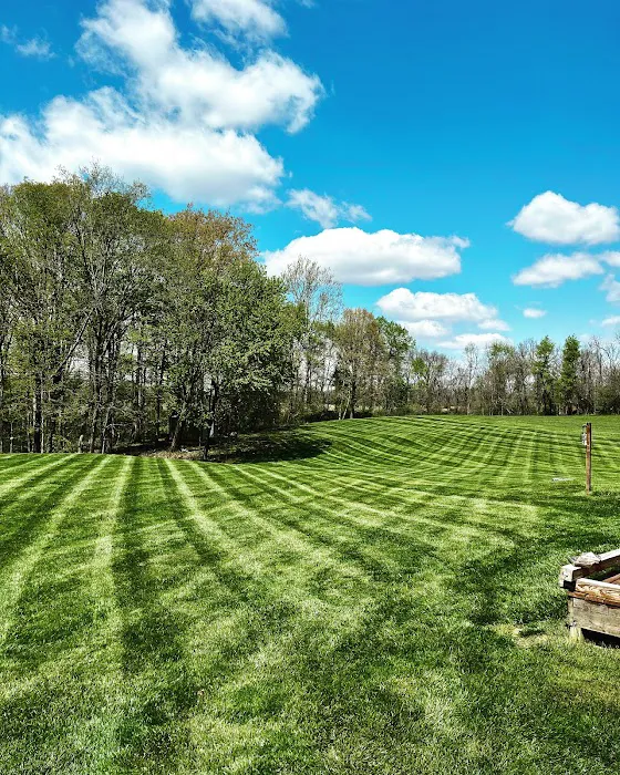 Chew's Lawn Restoration Picture 2