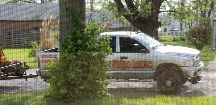 Tiger Stripe Lawns LLC Picture 4