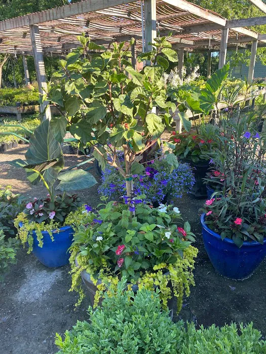 Hank Metzger Landscape, Inc. Picture 4