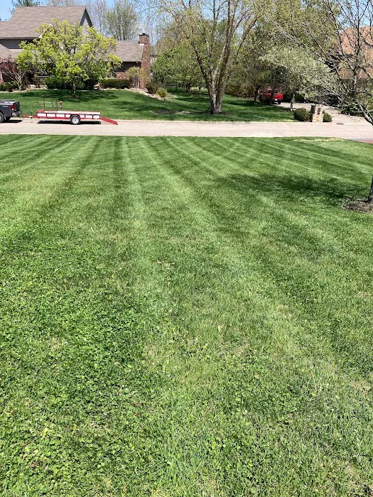 Miguel lawn care landscaping comercial and residencial Picture 10