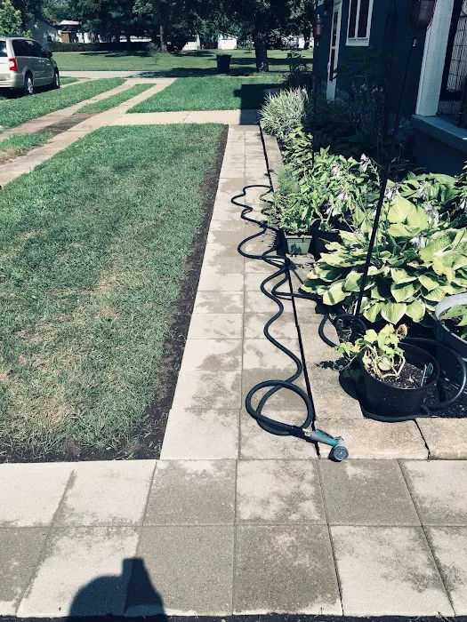 Miguel lawn care landscaping comercial and residencial Picture 9