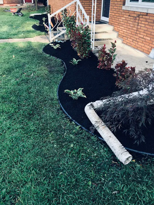 Miguel lawn care landscaping comercial and residencial Picture 4