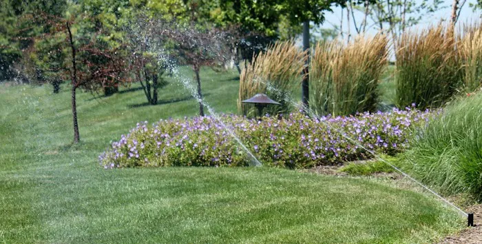TCI Companies, Inc. Picture 6