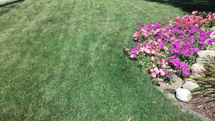Winkel Lawn Care and Landscaping Picture 9