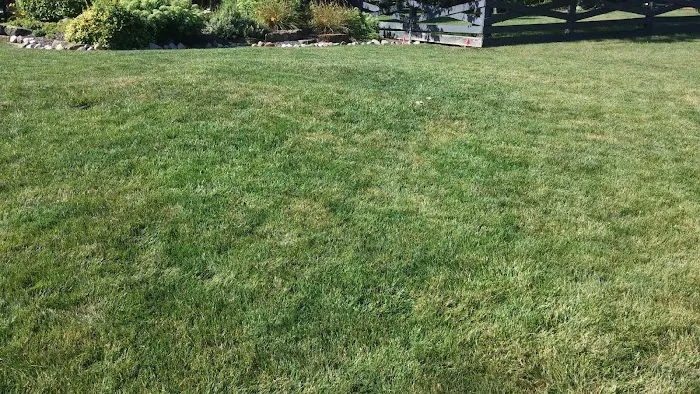 Winkel Lawn Care and Landscaping Picture 4