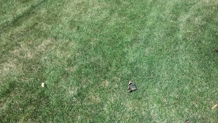 Winkel Lawn Care and Landscaping Picture 8