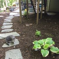 Kull Scape Landscaping Inc. ico