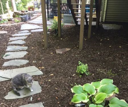 Kull Scape Landscaping Inc.