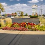 Wilson Services of Central Illinois, Inc.