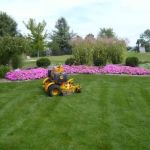 Schlueter Bros Lawn Care