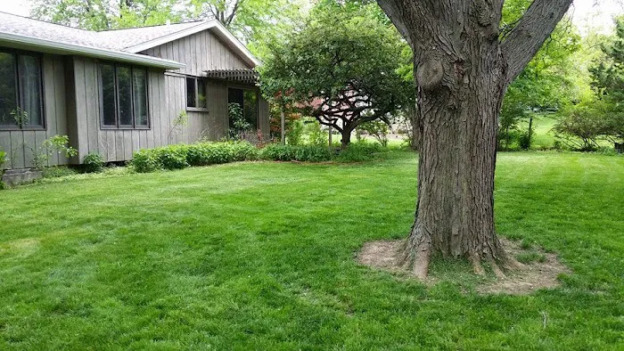CRUSE LAWN AND OUTDOOR SERVICES Picture 5