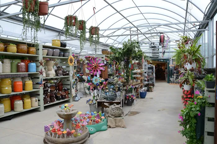 Washington Greenhouse Picture 4