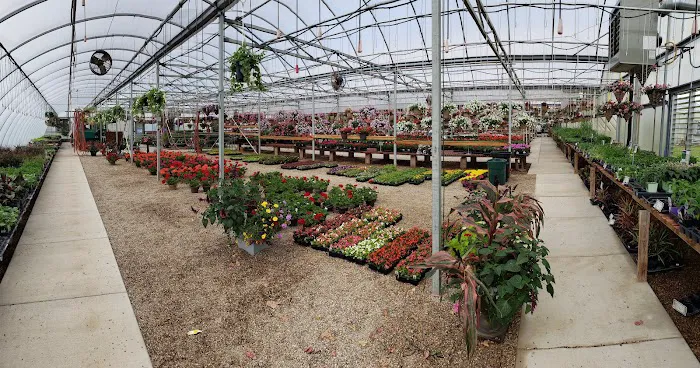 Washington Greenhouse Picture 8