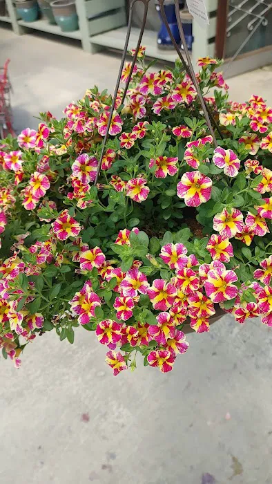 Washington Greenhouse Picture 7
