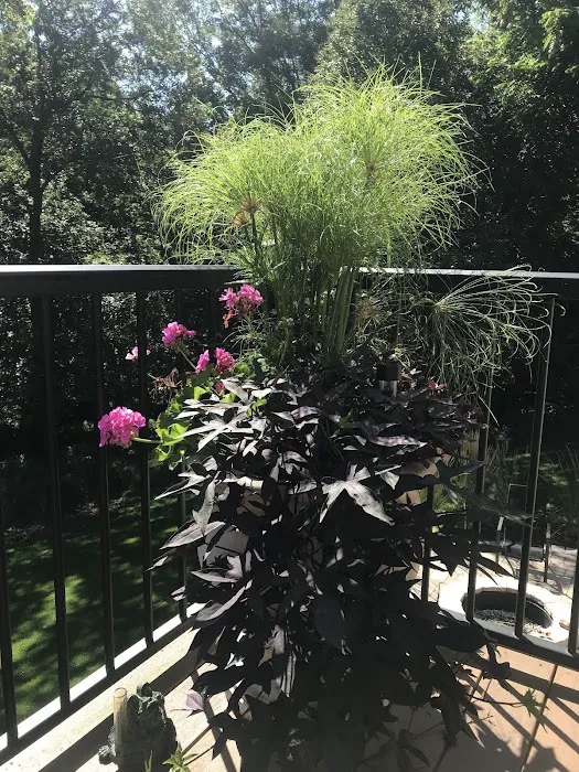 Washington Greenhouse Picture 5