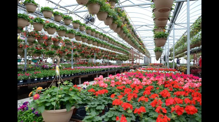 Washington Greenhouse Picture 1