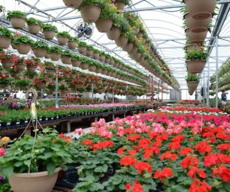 Washington Greenhouse