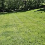 Fosters Inc. East Peoria