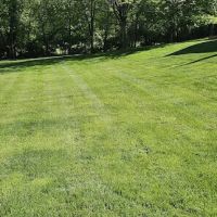 Fosters Inc. East Peoria ico